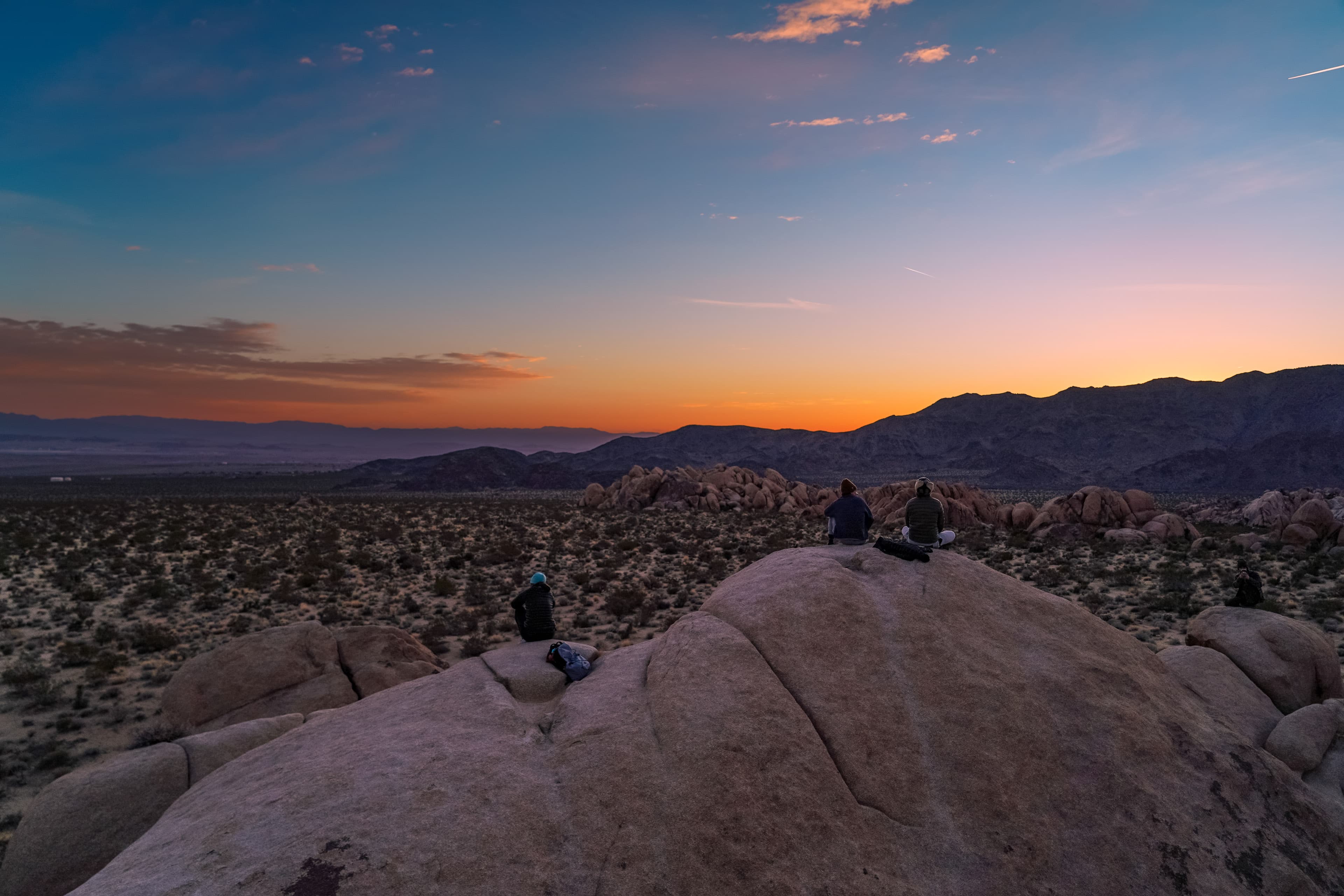 Joshua Tree Sunset Watchers