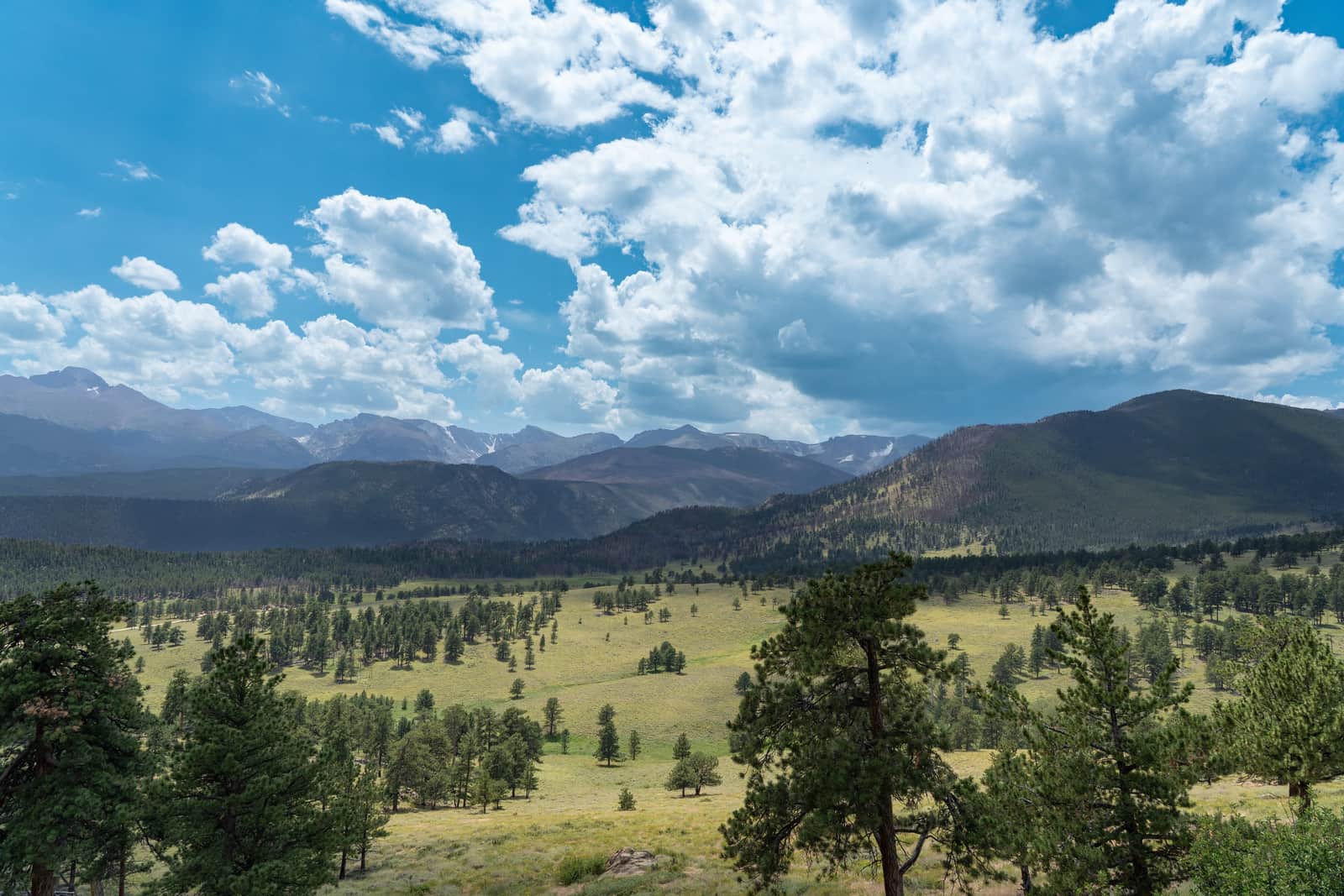 From the Nature Vol. II collection: a mountain meadow of scattered pines under tall cumulus cloud, with ridgelines receding into haze.